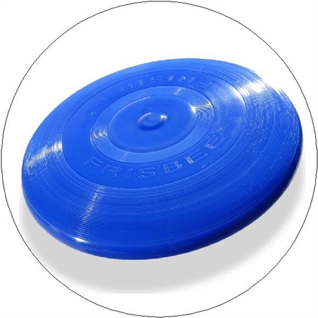 Frisbee Motiv 01