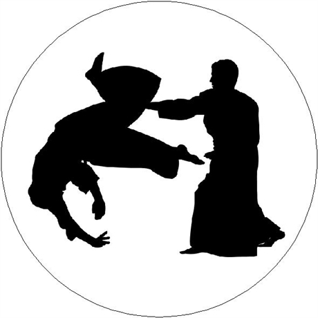 Aikido Motiv 01