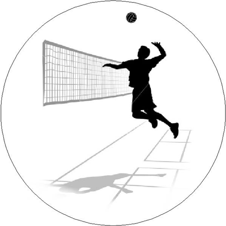 Volleyboll Motiv 02